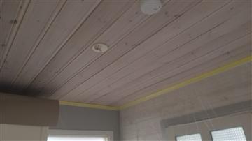 Paneltak före behandling